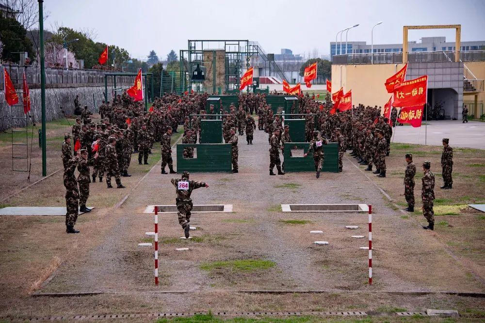 最新軍事頭條，全球軍事動態(tài)深度解析，全球軍事動態(tài)深度解析，最新軍事頭條播報