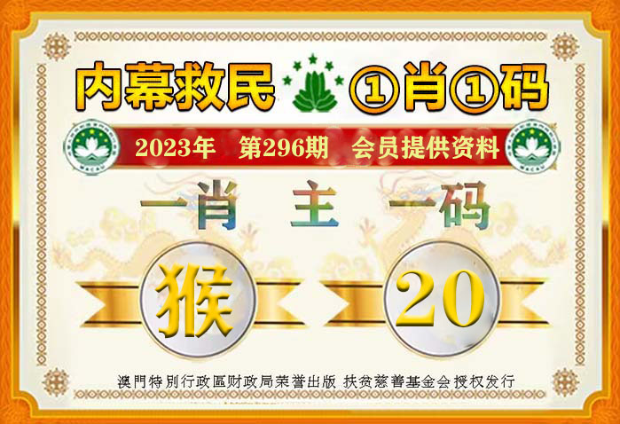 香港精選資料六肖100，揭秘與探索，揭秘香港精選資料六肖探索之旅