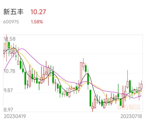 新五豐股票，投資潛力與市場前景分析，新五豐股票，投資潛力與市場前景深度剖析