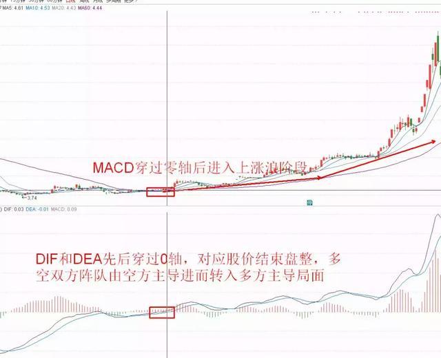 精華制藥股票，投資潛力與市場(chǎng)前景分析，精華制藥股票投資潛力與市場(chǎng)前景深度剖析