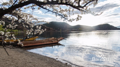 瀘沽湖旅游攻略，探索神秘高原湖泊的美麗與寧?kù)o，瀘沽湖旅游攻略，探尋高原湖泊的神秘美麗與寧?kù)o之旅