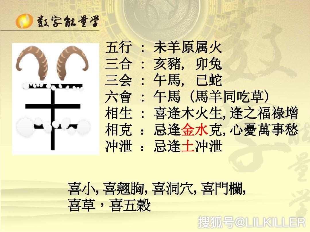 揭秘十碼九肖——掌握技巧，提高預(yù)測準(zhǔn)確率，揭秘十碼九肖預(yù)測技巧，提高準(zhǔn)確率