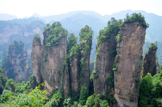 張家界風(fēng)景區(qū)，自然之美的極致展現(xiàn)，張家界風(fēng)景區(qū)，自然之美的極致展現(xiàn)勝地