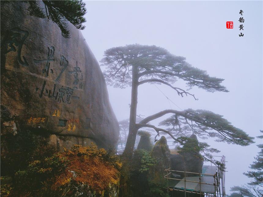 黃山旅游必去十大景點——探索自然之美的絕佳體驗，黃山旅游必去十大景點，自然之美的絕佳探險之旅