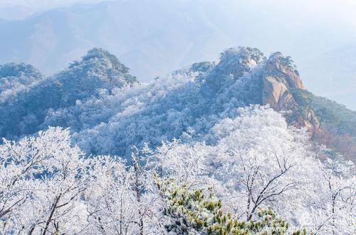 遼寧40個(gè)必去景點(diǎn)——探尋東北風(fēng)情的絕佳之地，遼寧40個(gè)必去景點(diǎn)，東北風(fēng)情絕佳探尋之旅