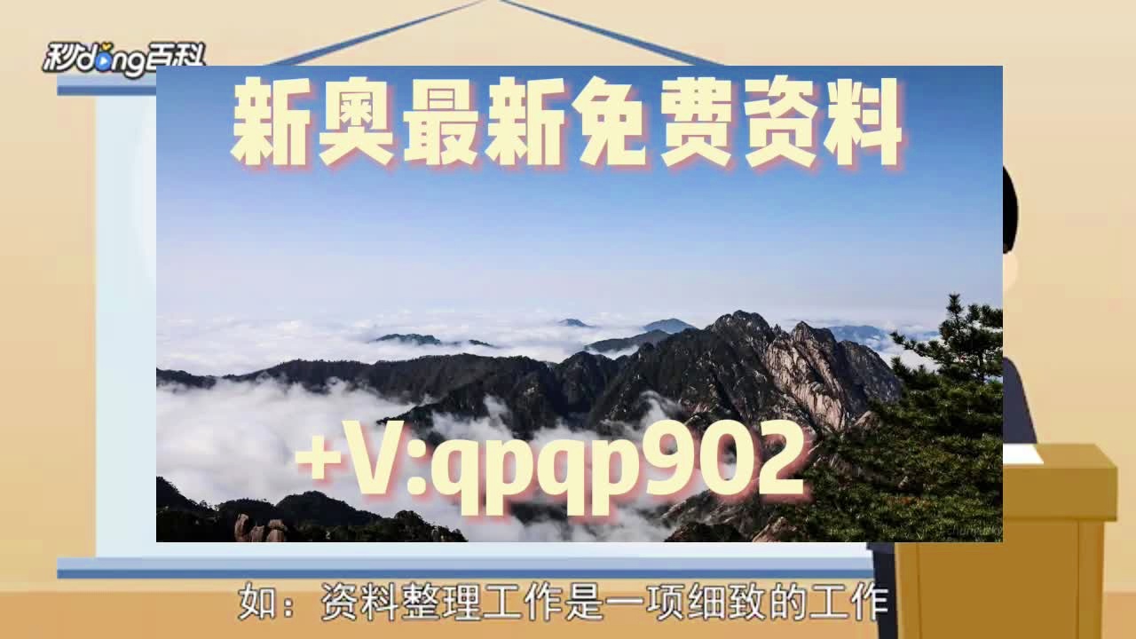 新澳2025正版資料大全——全面解析與深度探索，新澳2025正版資料大全，全面解析與深度探索指南