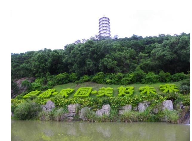 深圳好玩又免費的景點大全——探索這座城市的隱藏寶藏，深圳隱藏寶藏，免費景點大全探索之旅