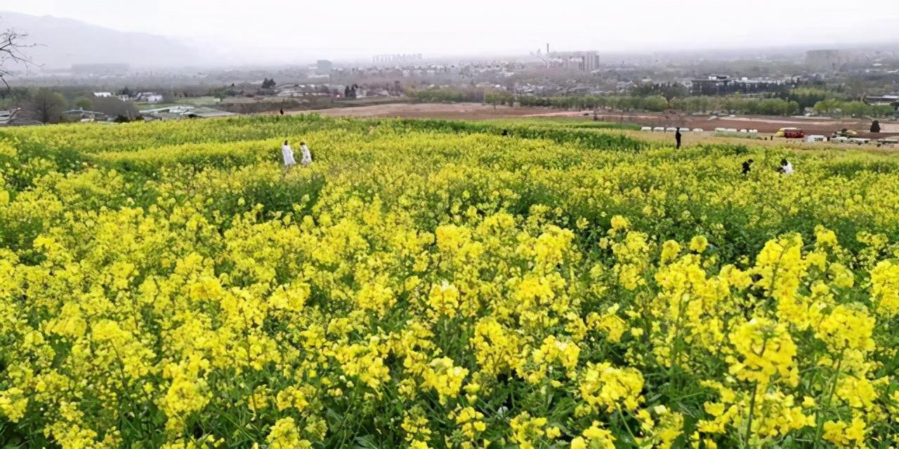 西安旅游景點大全排名及詳細介紹，西安旅游景點排名及詳細介紹大全