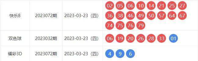 新澳門單雙走勢，探索與策略分析，澳門單雙走勢探索與策略深度解析