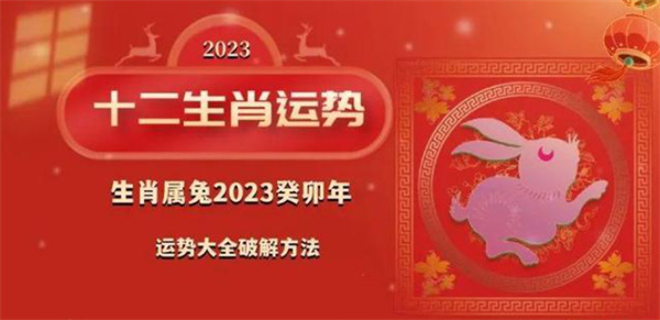 關(guān)于二肖四碼資料的研究與探討，二肖四碼資料深度研究與探討