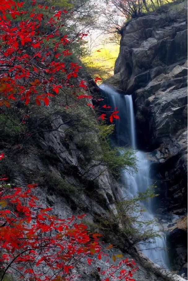 太平國(guó)家森林公園攻略，探索自然之美的絕佳路線，太平國(guó)家森林公園攻略，自然之美的探索之旅