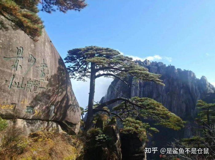 黃山旅游攻略一日游，探索自然奇觀的絕佳體驗，黃山一日游攻略，自然奇觀探索絕佳體驗