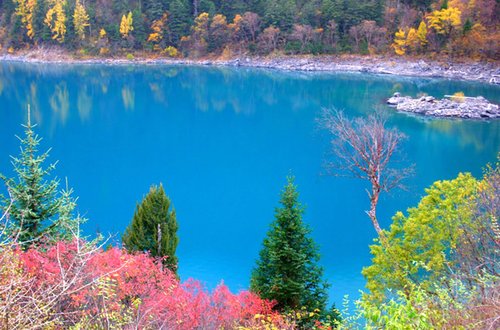 九寨溝景區(qū)介紹——自然之美的瑰寶，九寨溝景區(qū)，自然之美的瑰寶介紹