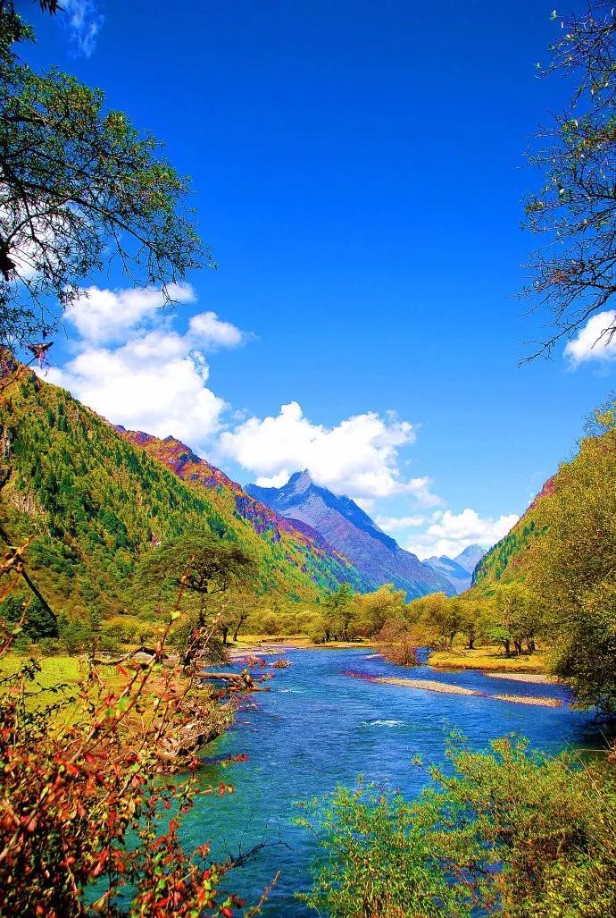 探索九寨溝，自然之美的圖片展示，九寨溝自然之美圖片探索之旅