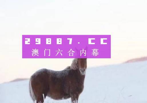 新澳門正版精準(zhǔn)免費(fèi)大全——揭示真相與防范犯罪，澳門正版精準(zhǔn)指南，揭露真相與預(yù)防犯罪