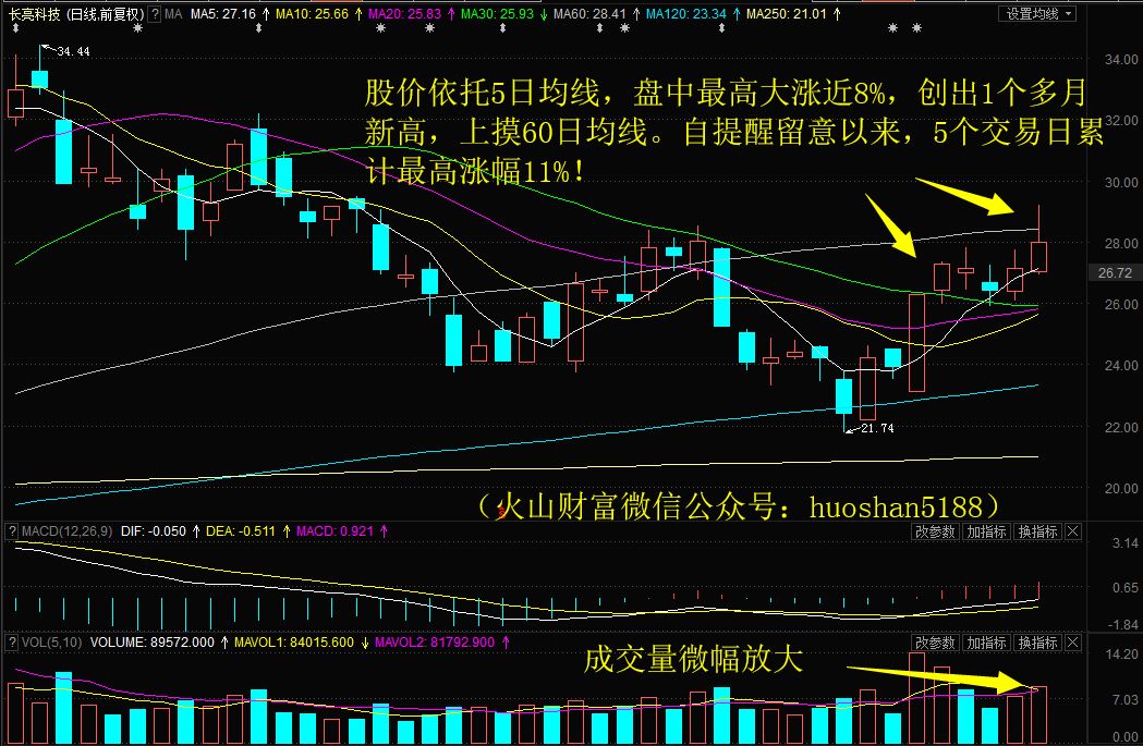 關(guān)于股票300348的全方位解析與前景展望，股票300348全方位解析與未來前景展望