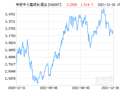 華安中小盤成長混合基金（代碼，040007）的投資策略與市場前景展望，華安中小盤成長混合基金投資策略與市場前景展望（代碼，040007）