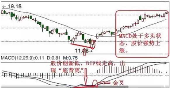 深入了解300212關(guān)鍵詞，定義、應(yīng)用與SEO優(yōu)化策略，揭秘關(guān)鍵詞300212，定義、應(yīng)用與SEO優(yōu)化攻略