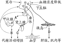 第335頁(yè)