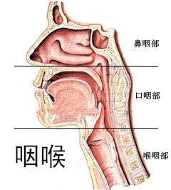 嗓子咽唾沫疼，原因解析與應對策略，嗓子咽唾沫疼痛，原因解析及應對方法