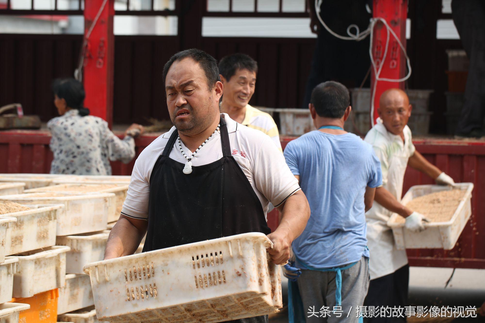 身高計算公式，揭秘成長奧秘，助你了解身高發(fā)展，揭秘身高成長奧秘，身高計算公式助你洞悉身高發(fā)展之路