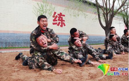 強(qiáng)軍網(wǎng)網(wǎng)址查詢及相關(guān)信息介紹，強(qiáng)軍網(wǎng)網(wǎng)址查詢指南與相關(guān)信息詳解