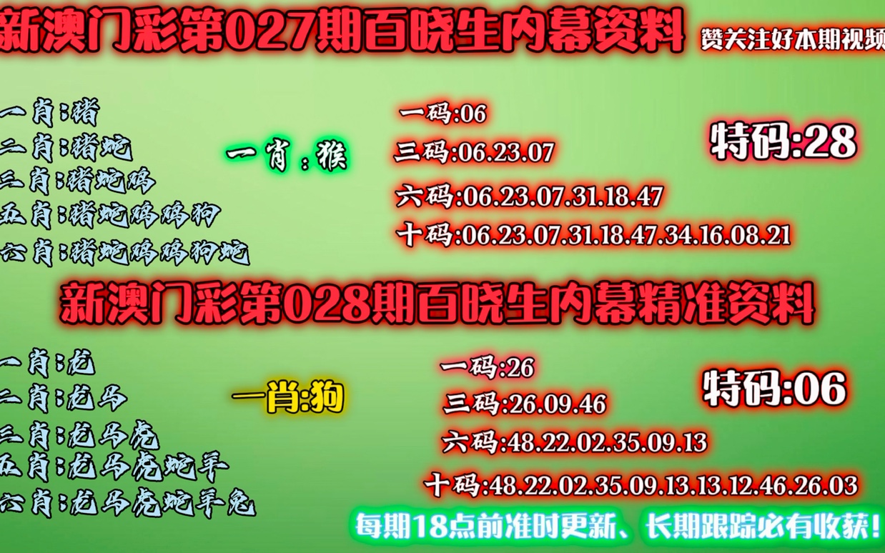 澳門碼二四十八期深度解析與探索，澳門碼二四十八期深度解析與探索報(bào)告