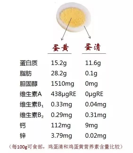 雞蛋對(duì)人體健康的奧秘/影響