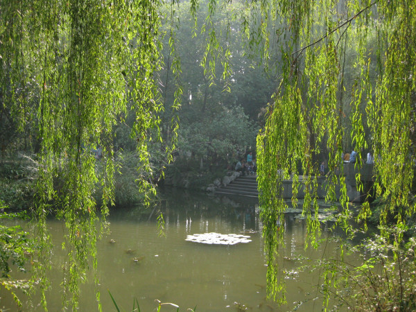 百蛇圖，古老的圖案與現(xiàn)代SEO的交融，百蛇圖，古老圖案與現(xiàn)代SEO的交融之旅