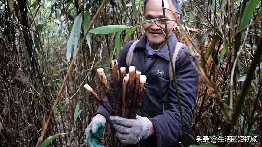 中國傳統(tǒng)藝術(shù)獨(dú)特風(fēng)采探尋