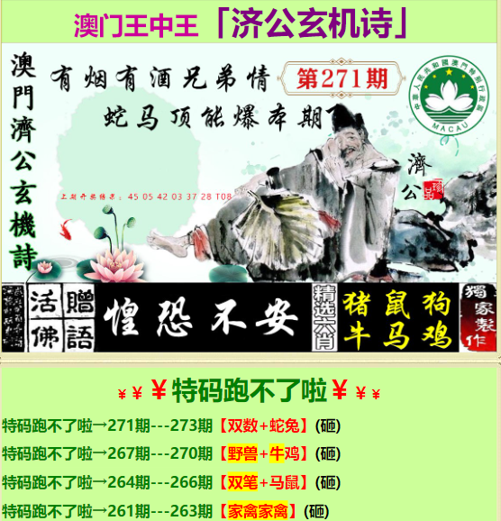 香港王中王期期一肖中特，揭秘彩票背后的秘密與策略，揭秘彩票背后的秘密與策略，香港王中王期期一肖中特之奧秘