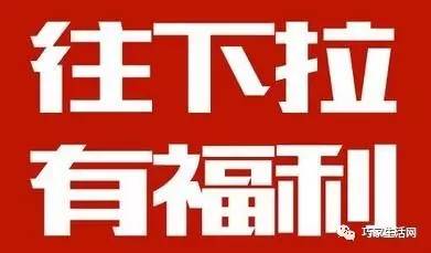 王中王必中一肖一特子——揭秘預(yù)測背后的秘密，揭秘王中王預(yù)測生肖與特子背后的秘密