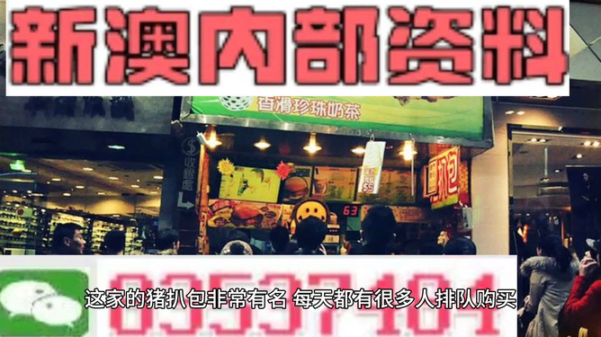 新奧天天精準(zhǔn)資料大全，全方位解讀與SEO優(yōu)化策略，新奧天天精準(zhǔn)資料大全，全方位解讀與SEO優(yōu)化策略指南