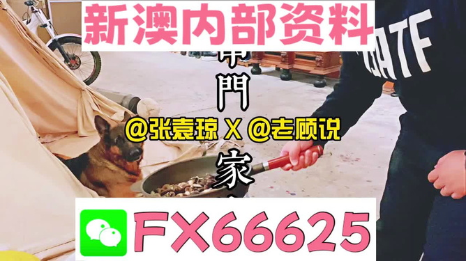 新澳門2025年資料大全管家婆，探索與預(yù)測(cè)，澳門未來(lái)展望，2025年資料大全與預(yù)測(cè)分析