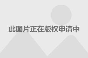 關(guān)于楊冪421事件，真相究竟如何？，楊冪421事件真相揭秘，究竟發(fā)生了什么？