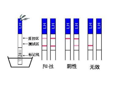 早孕檢測時(shí)間