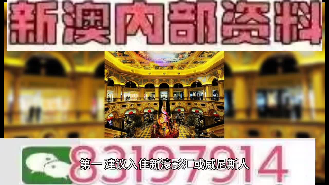 正版資料深度解析