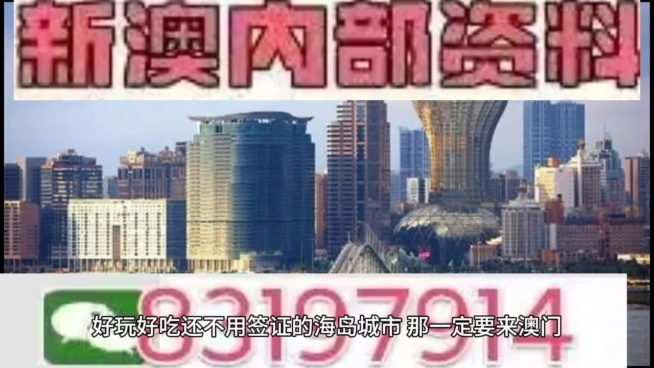 澳門王中王資料深度解析