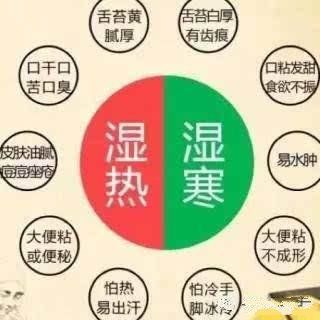 除濕最快最好的中成藥