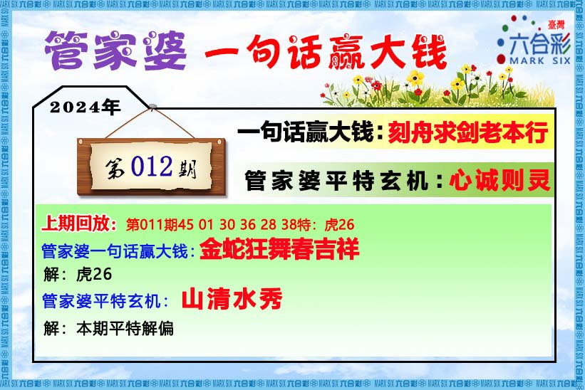 揭秘王中王資料，一肖中特管婆的神秘面紗，揭秘王中王資料與神秘管婆，一肖中特獨(dú)家解析