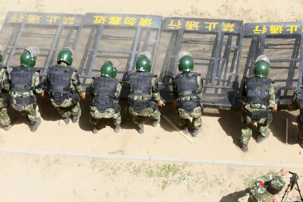 雪豹突擊隊(duì)為何調(diào)離北京，深度解析背后原因，雪豹突擊隊(duì)調(diào)離北京背后的深度解析與原因探究
