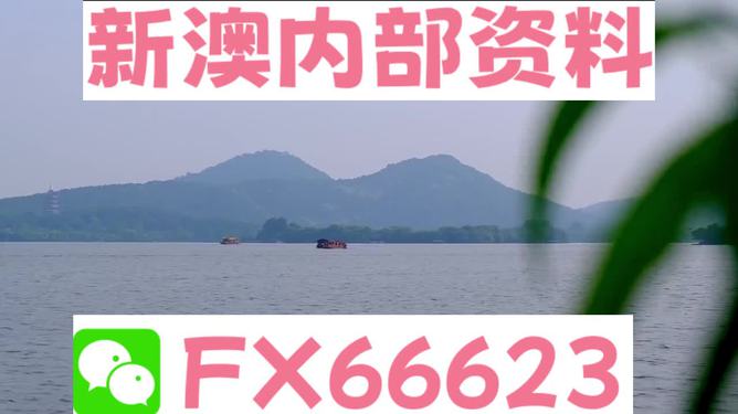 新澳2025年最新版資料概覽與深度解析，新澳2025年資料概覽與深度解析